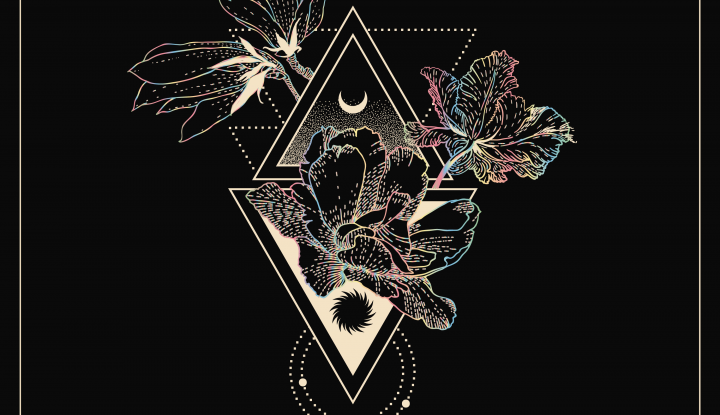 Asculta online Alin Dimitriu - Wonderland,