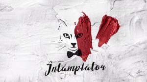Asculta online, The Motans - Intamplator, single nou