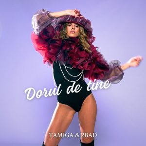 Dorul de tine Tamiga & 2Bad